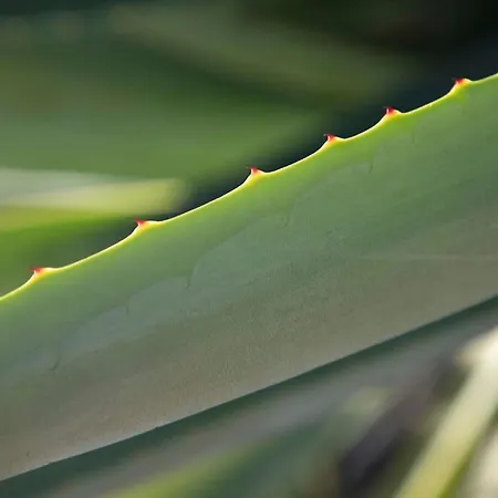 Casa Uva * Yaiza (Lanzarote)